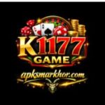 K1177 Game