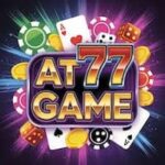 AT77 Game