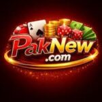 PAKNew Game